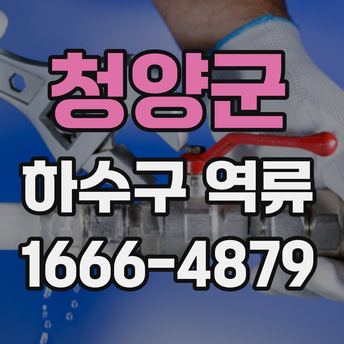 청양군 하수구 역류