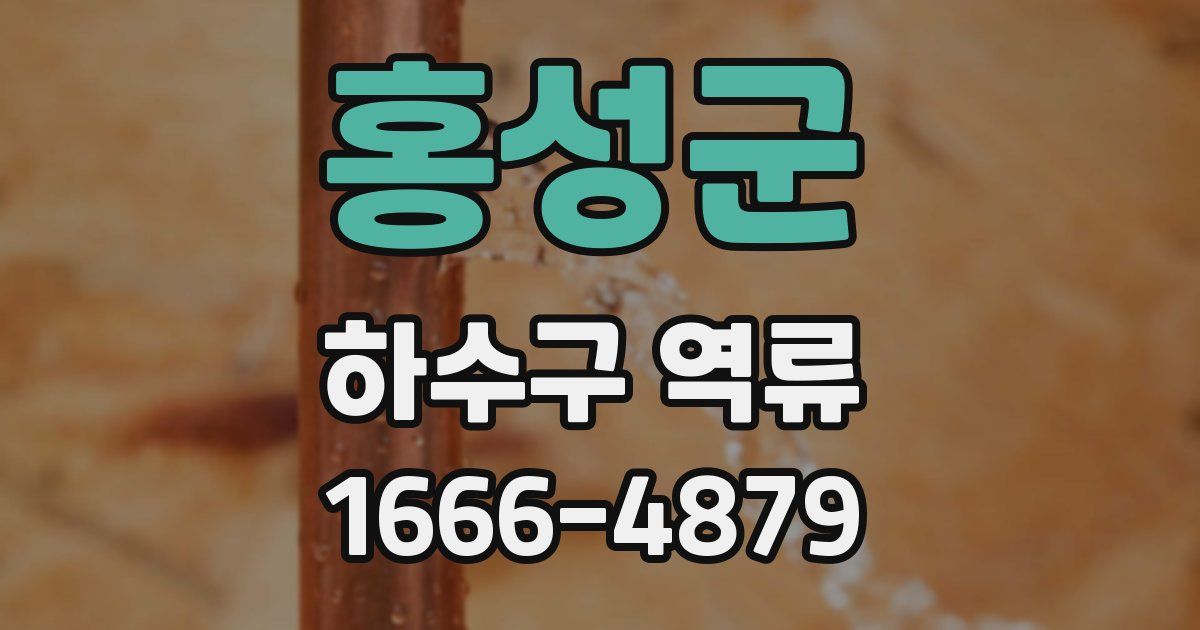 홍성군 하수구 역류