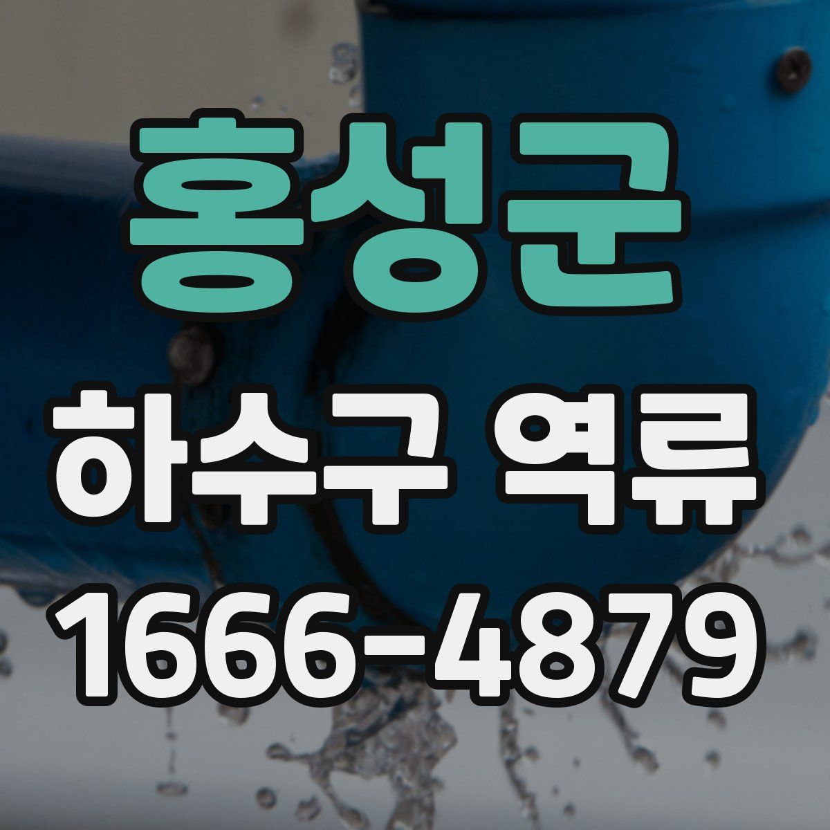 홍성군 하수구 역류