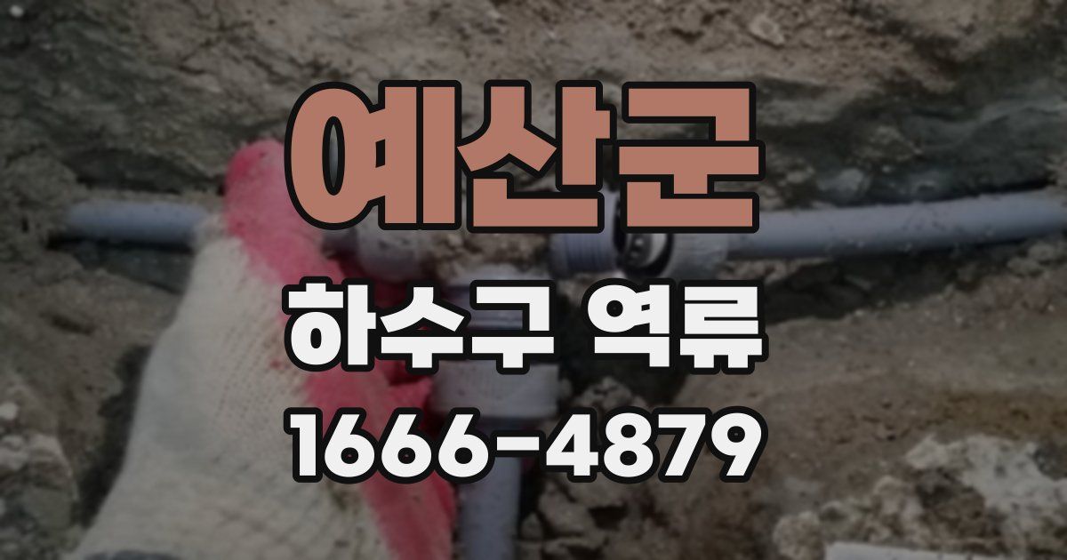 예산군 하수구 역류