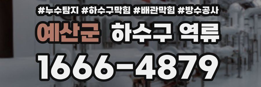 예산군 하수구 역류