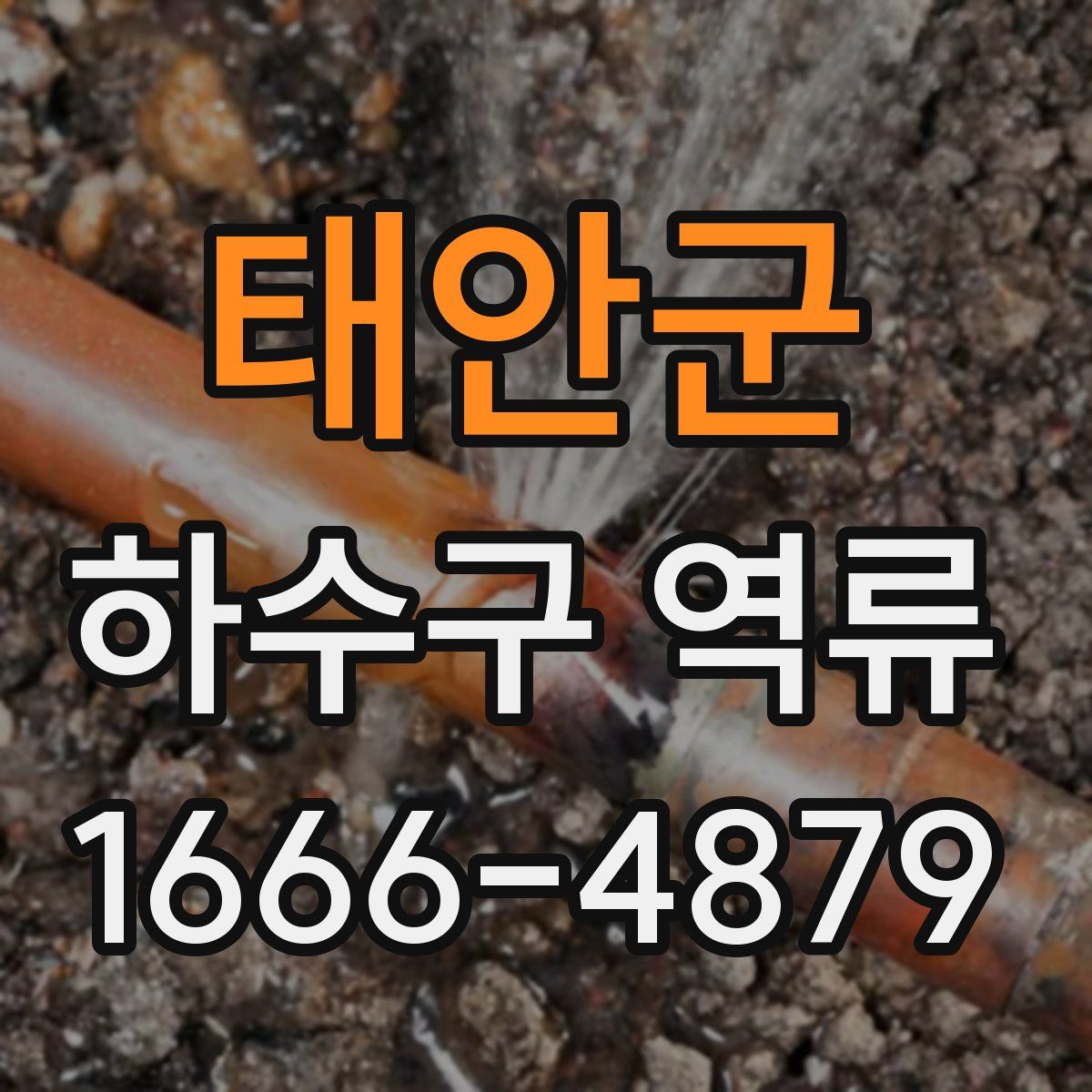 태안군 하수구 역류