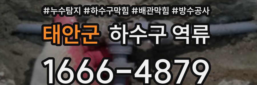 태안군 하수구 역류