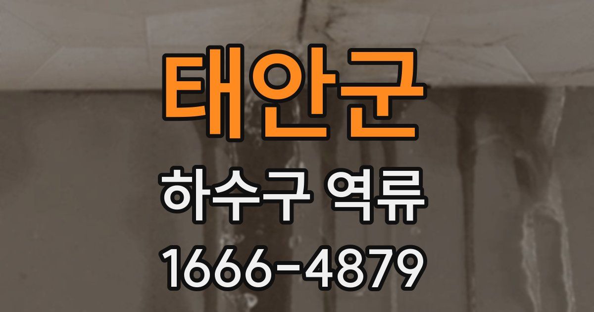 태안군 하수구 역류