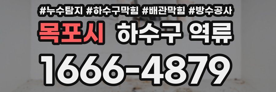 목포시 하수구 역류