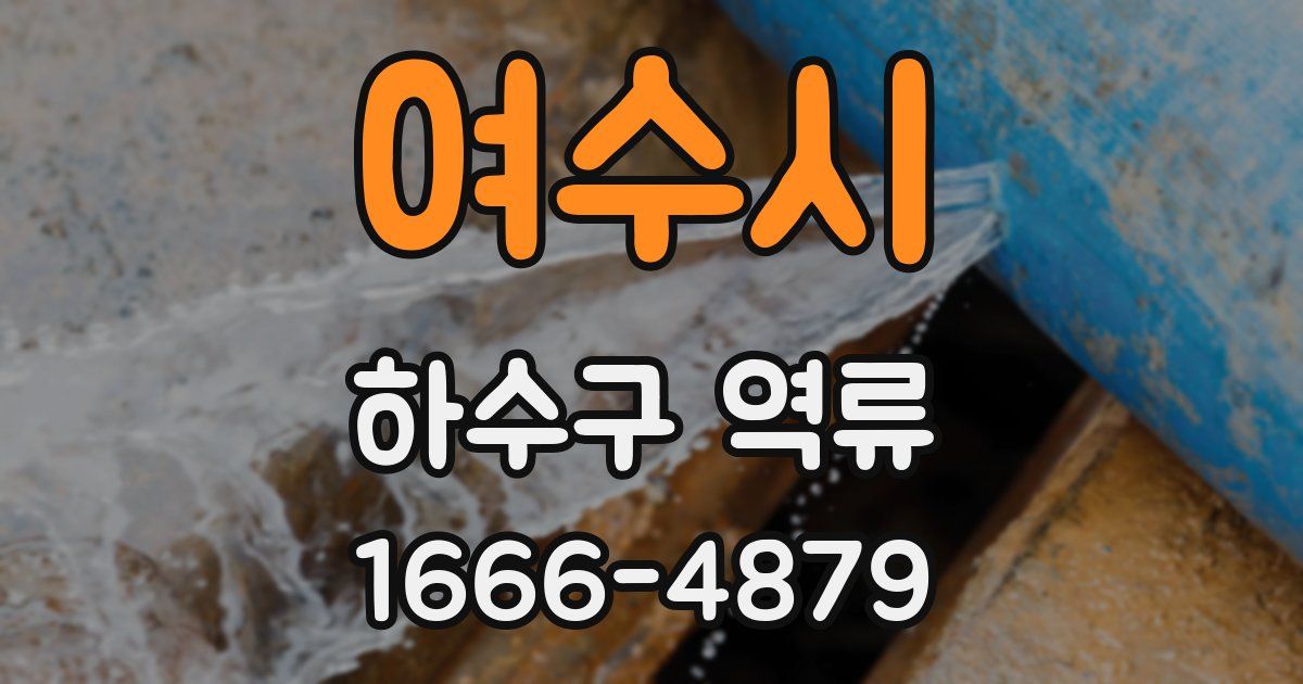 여수시 하수구 역류