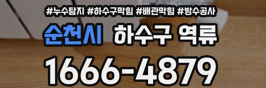 순천시 하수구 역류