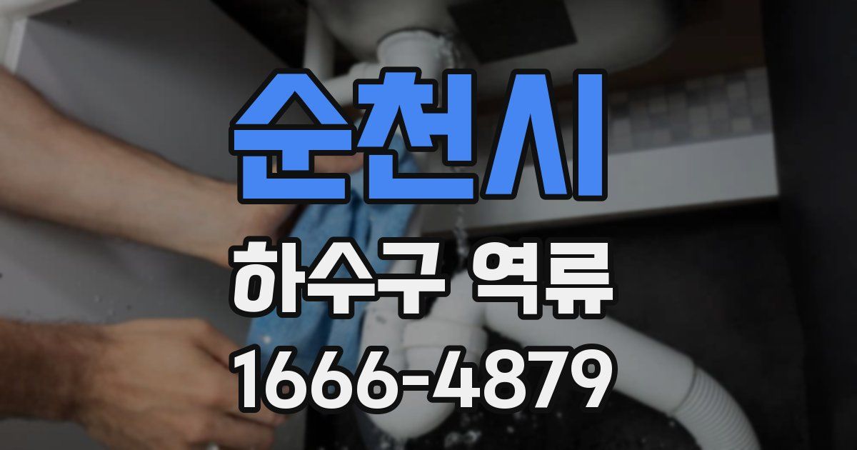 순천시 하수구 역류