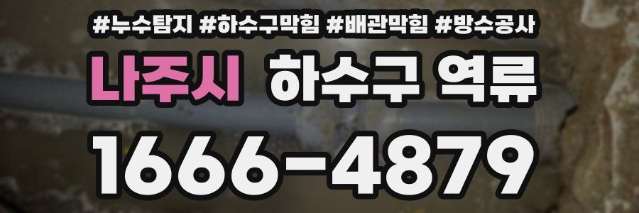 나주시 하수구 역류