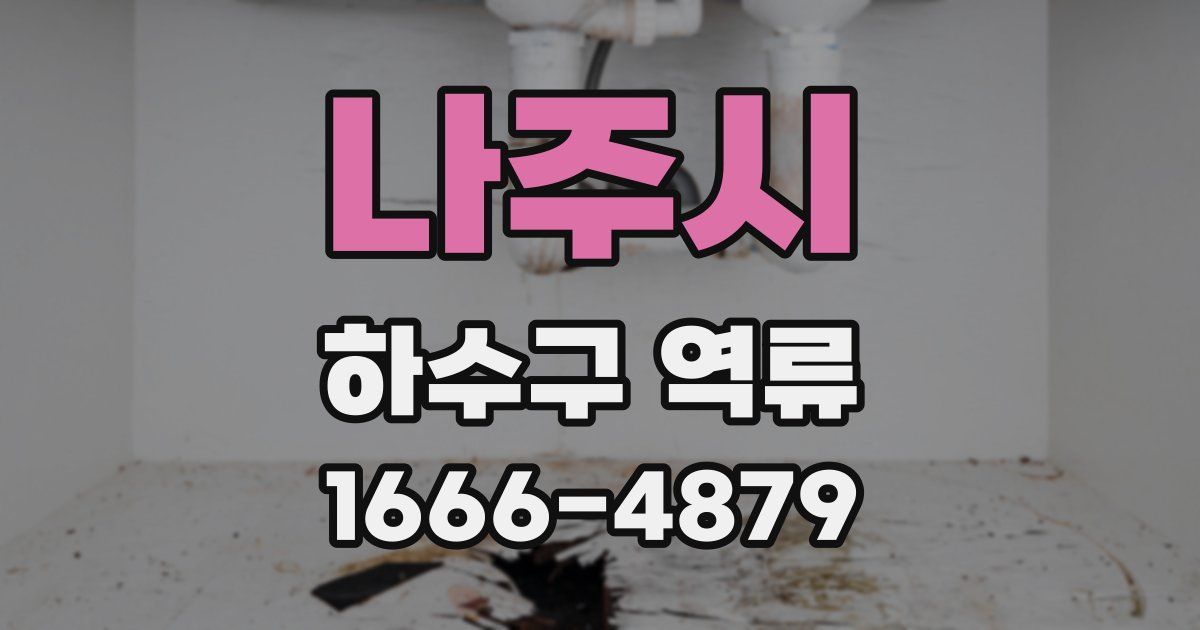 나주시 하수구 역류