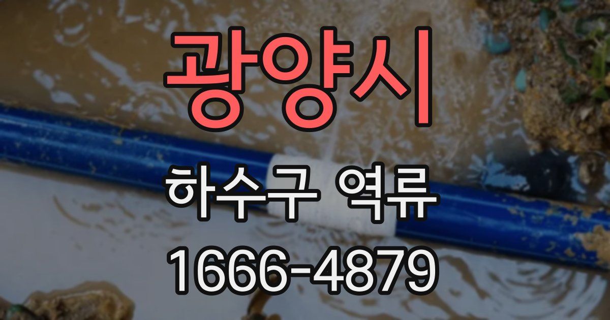광양시 하수구 역류