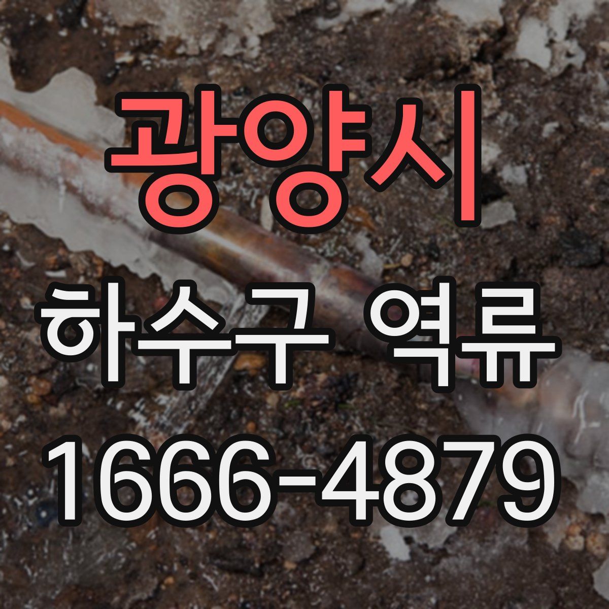 광양시 하수구 역류