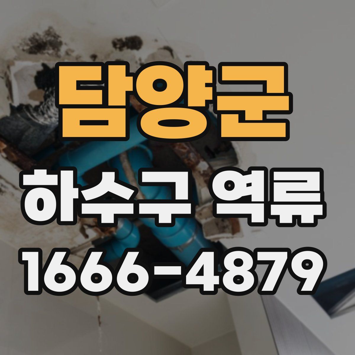 담양군 하수구 역류