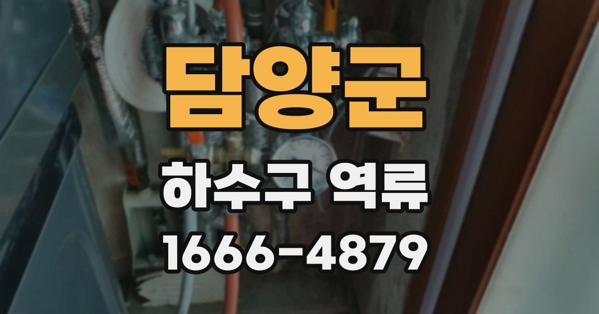 담양군 하수구 역류
