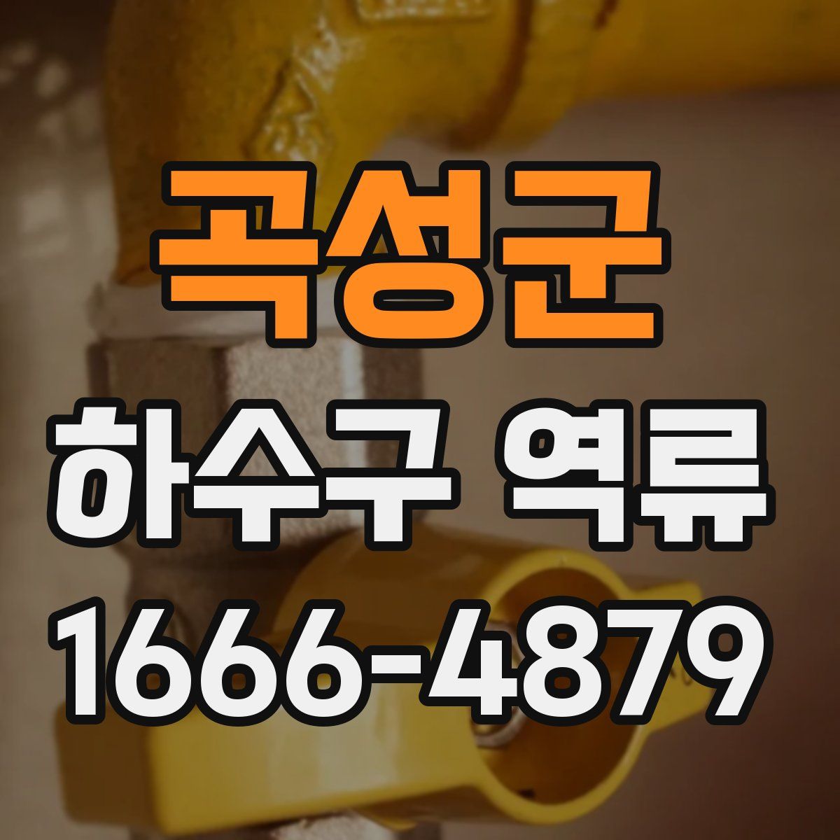 곡성군 하수구 역류