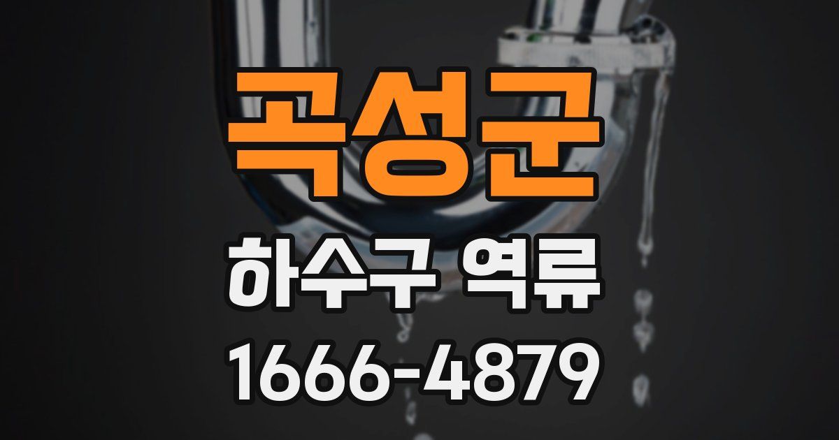 곡성군 하수구 역류