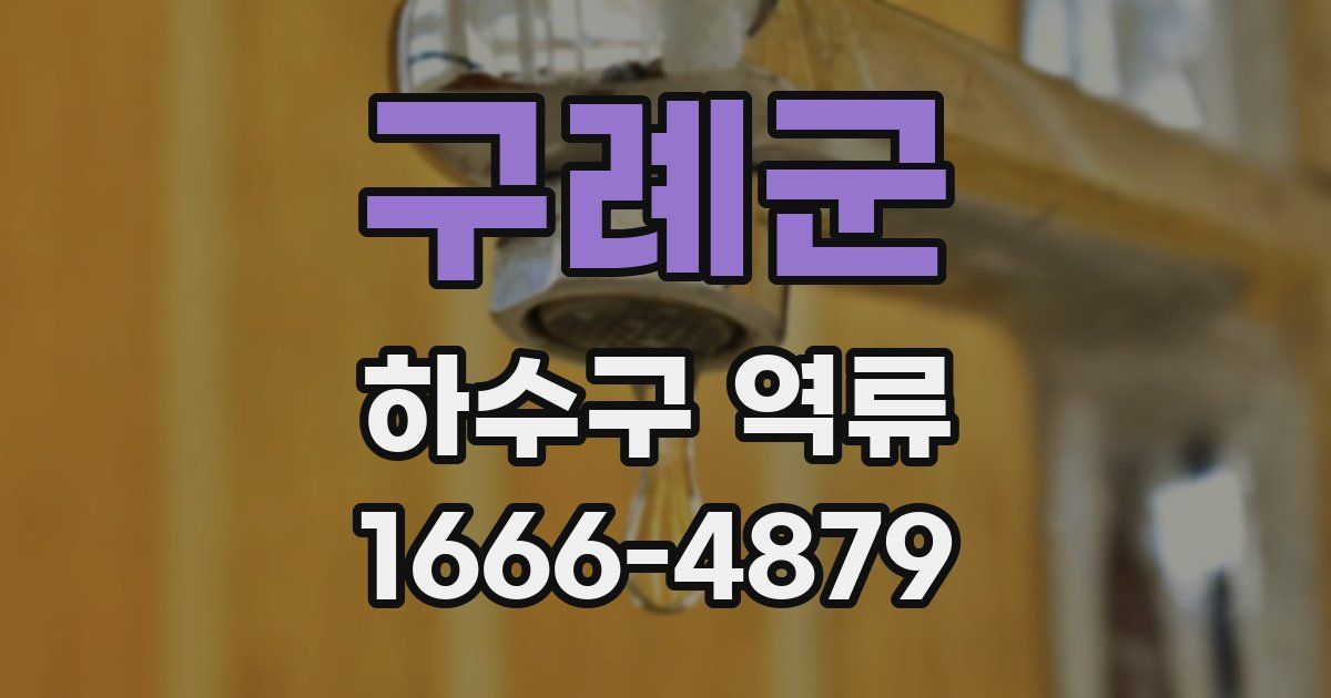 구례군 하수구 역류