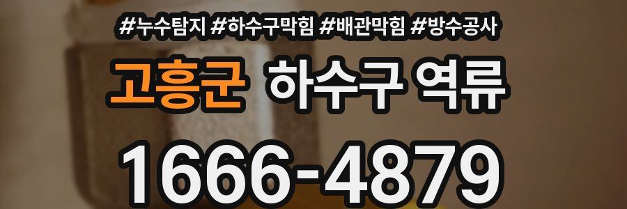 고흥군 하수구 역류