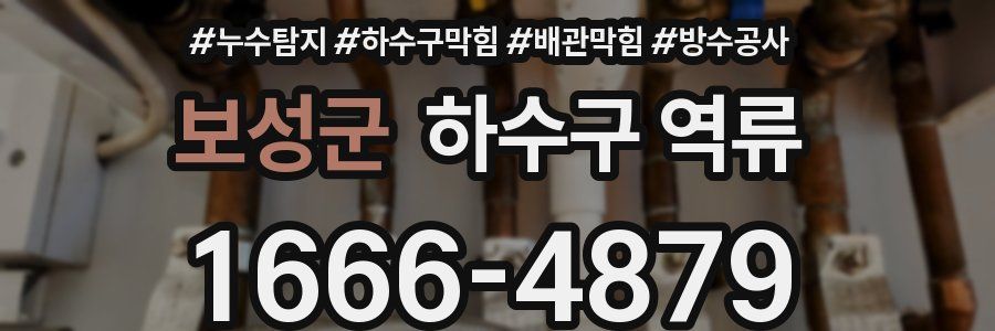 보성군 하수구 역류