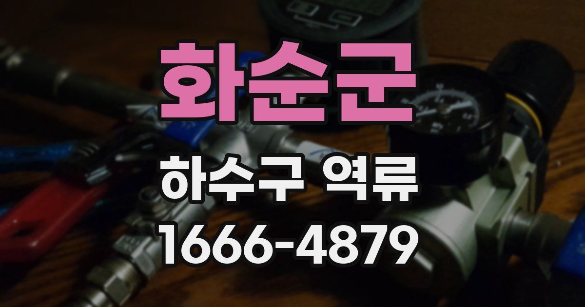 화순군 하수구 역류