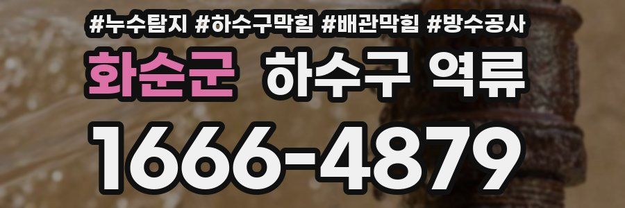 화순군 하수구 역류