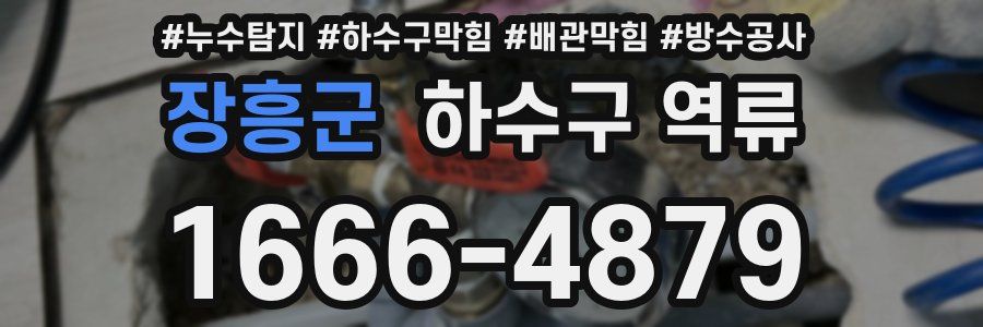 장흥군 하수구 역류
