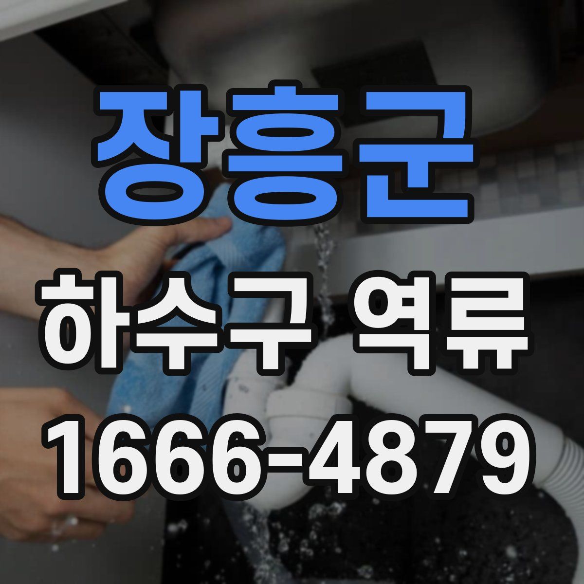 장흥군 하수구 역류