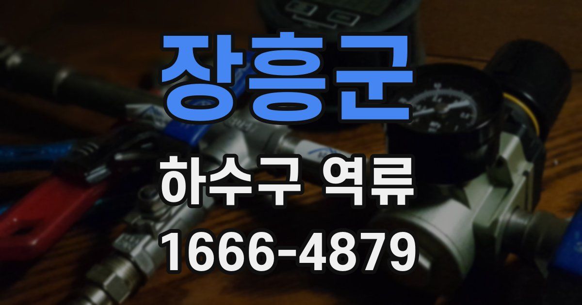 장흥군 하수구 역류