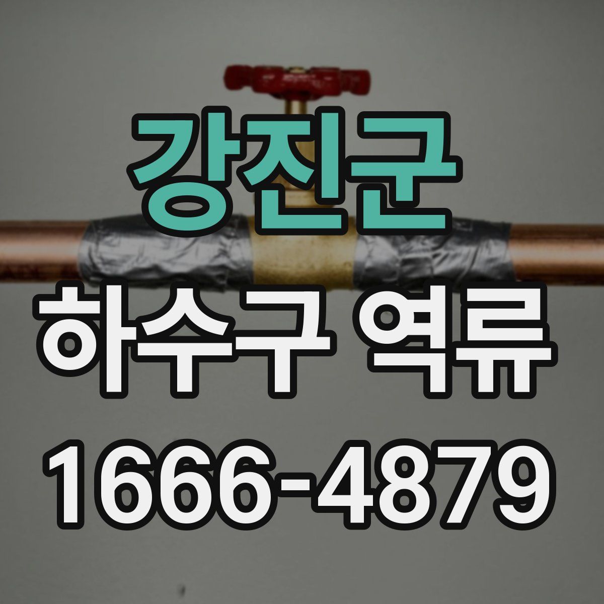강진군 하수구 역류