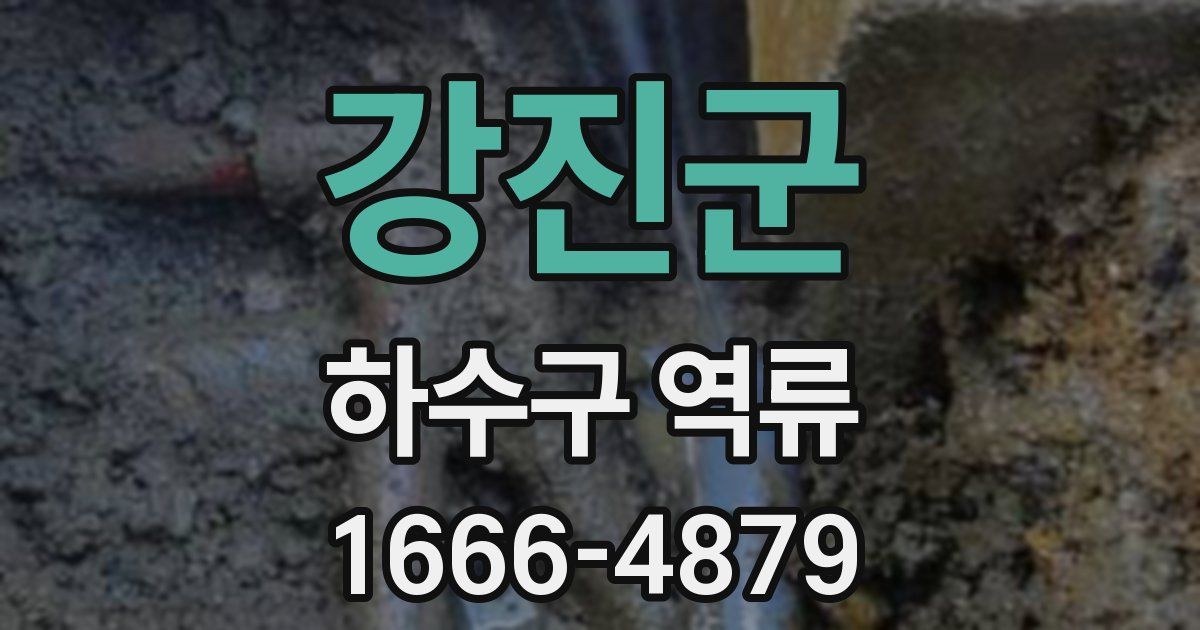 강진군 하수구 역류