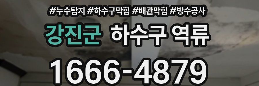 강진군 하수구 역류