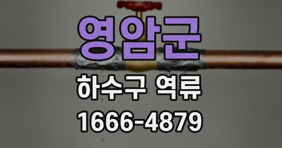 영암군 하수구 역류