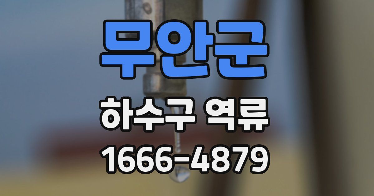 무안군 하수구 역류