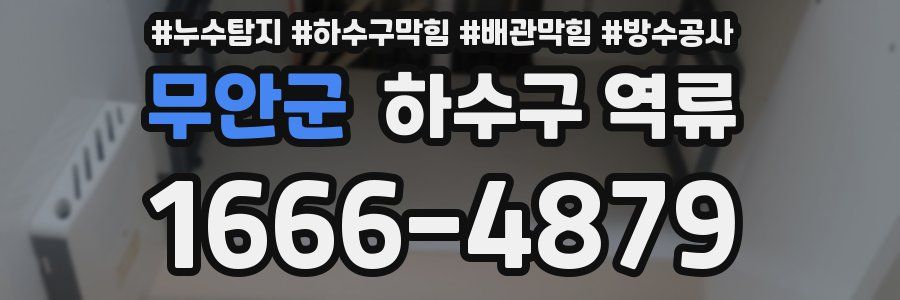 무안군 하수구 역류