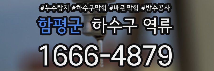 함평군 하수구 역류