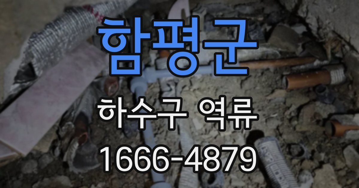함평군 하수구 역류