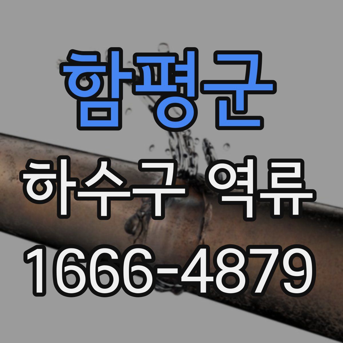함평군 하수구 역류