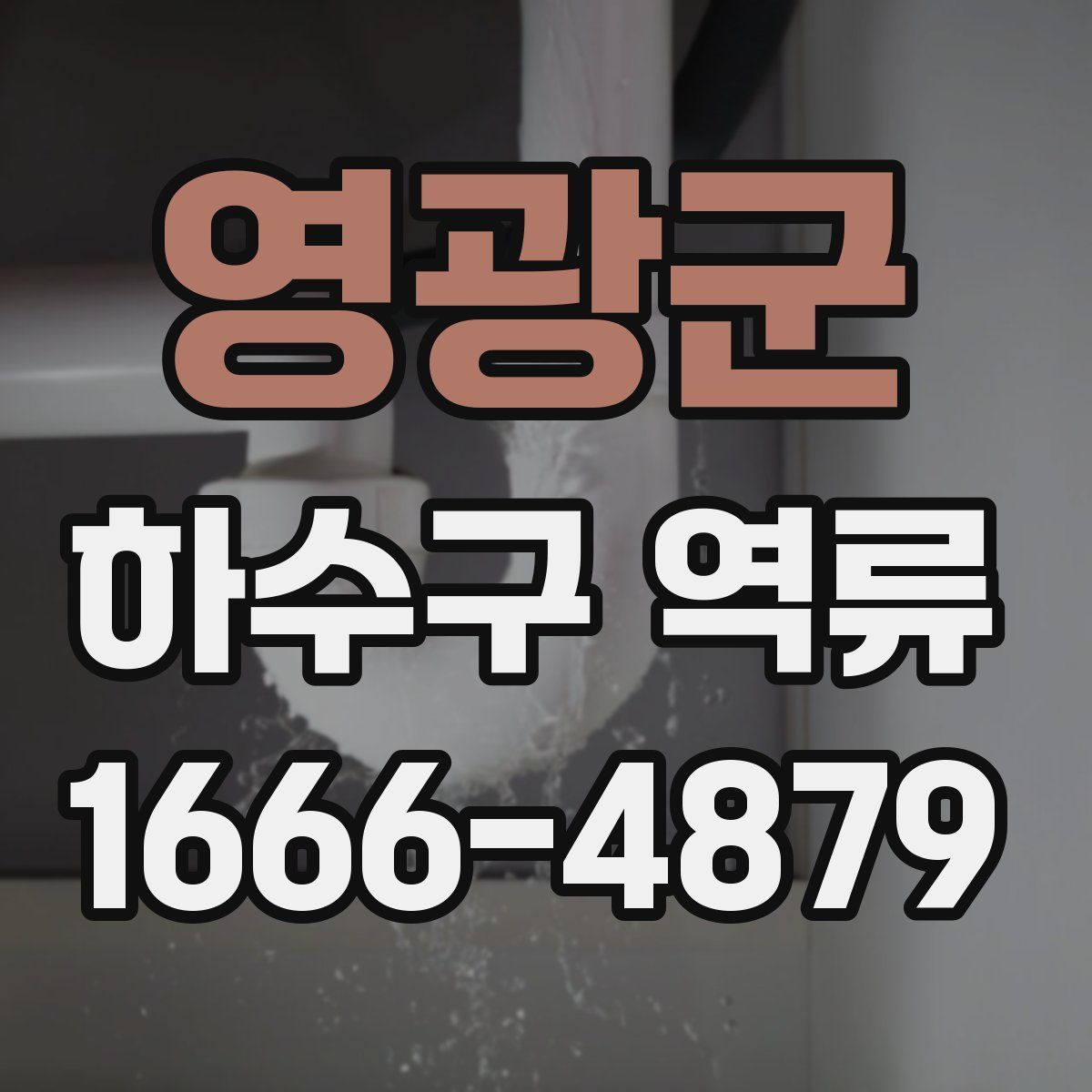 영광군 하수구 역류