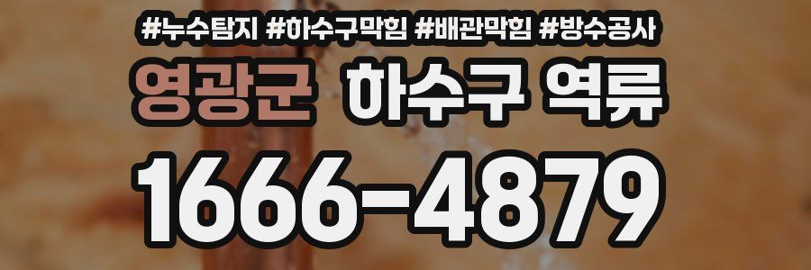 영광군 하수구 역류