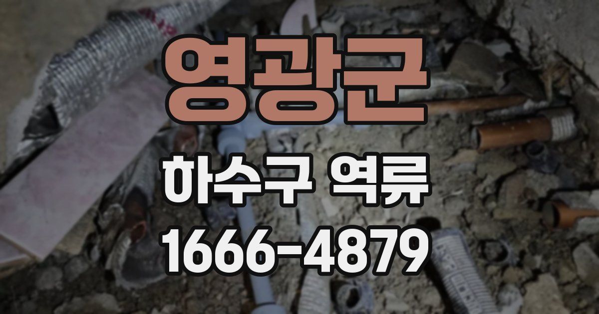 영광군 하수구 역류