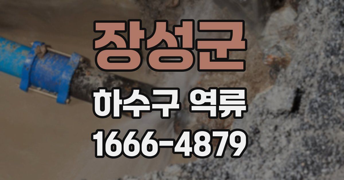 장성군 하수구 역류