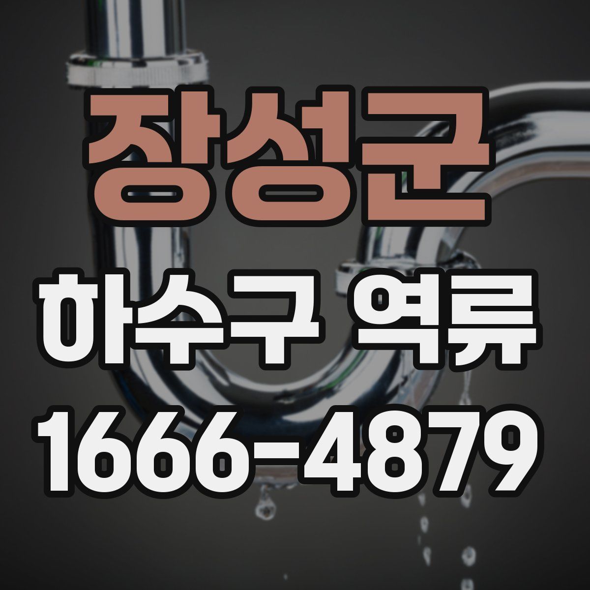 장성군 하수구 역류