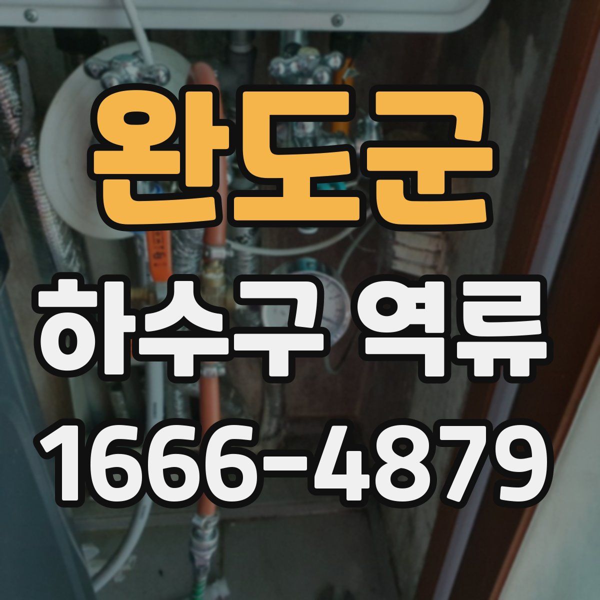 완도군 하수구 역류
