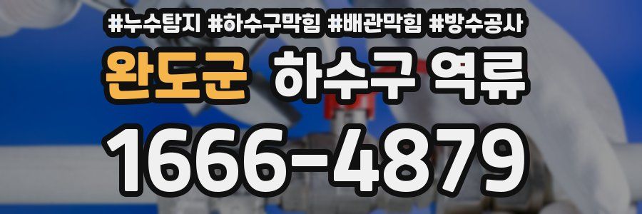 완도군 하수구 역류