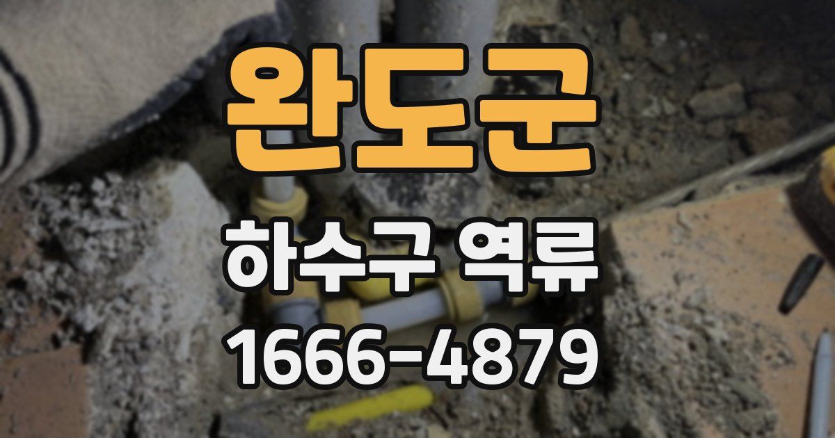 완도군 하수구 역류
