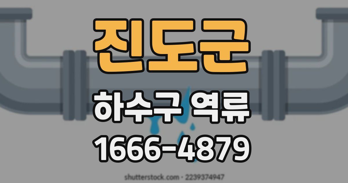 진도군 하수구 역류