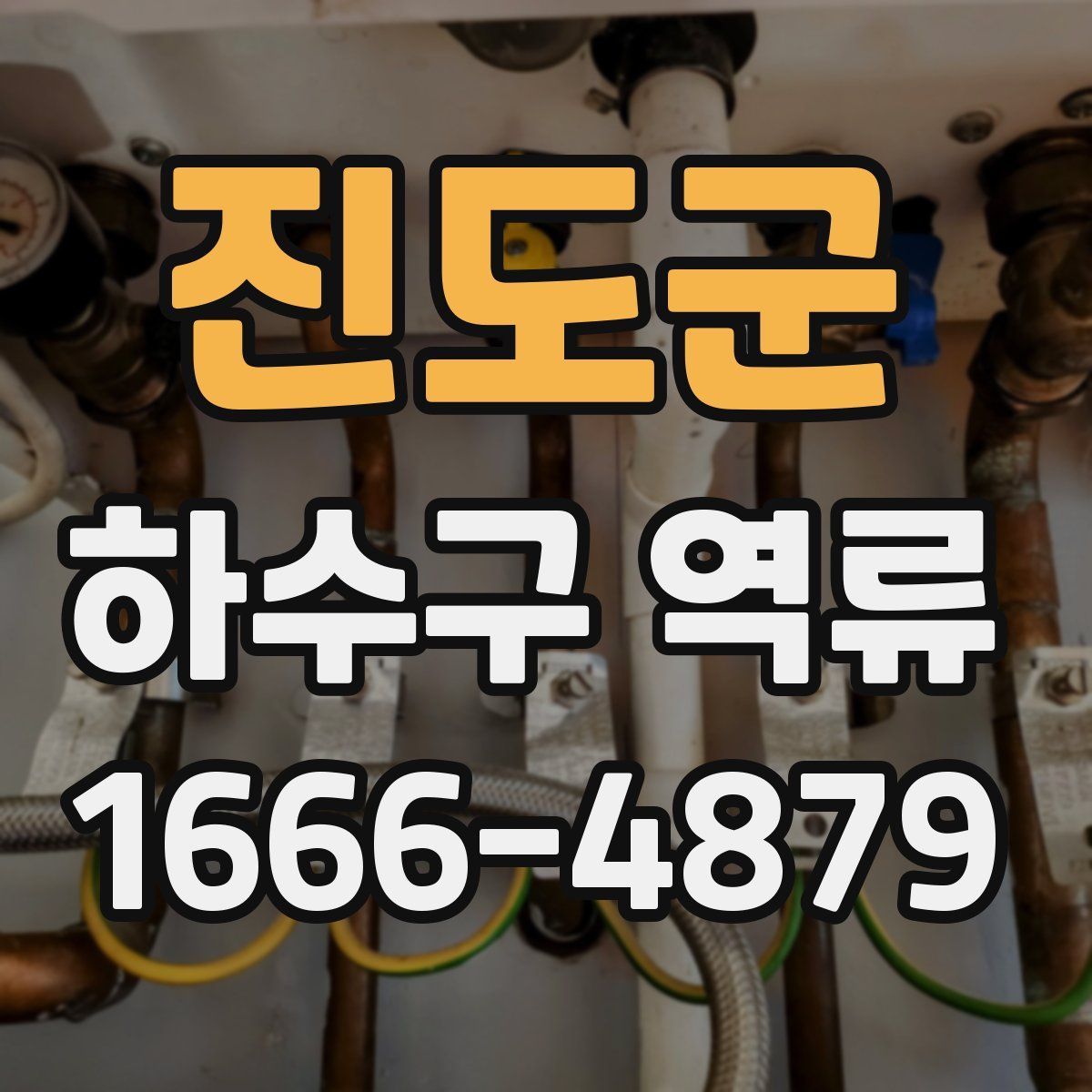 진도군 하수구 역류
