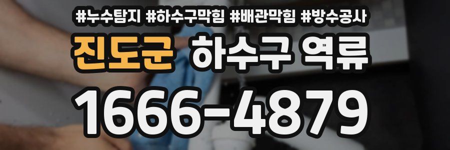 진도군 하수구 역류