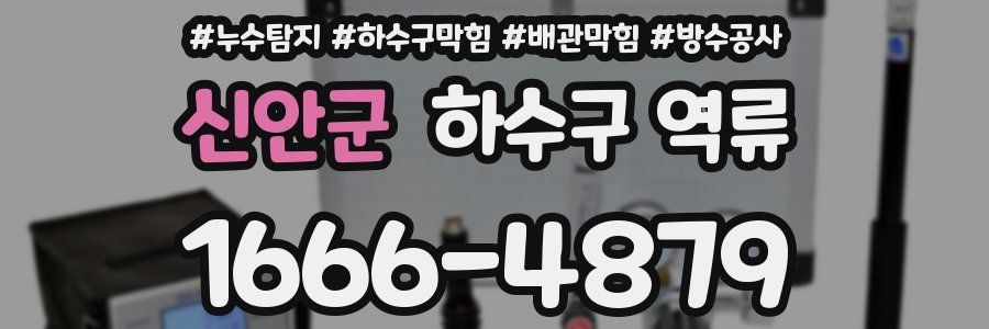 신안군 하수구 역류