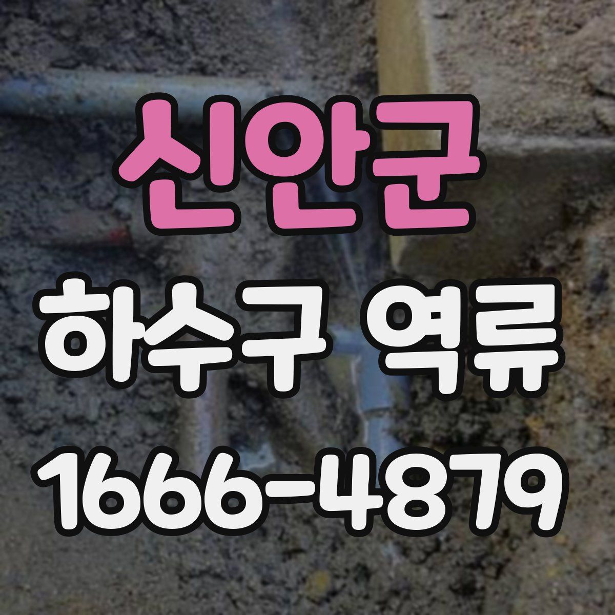 신안군 하수구 역류
